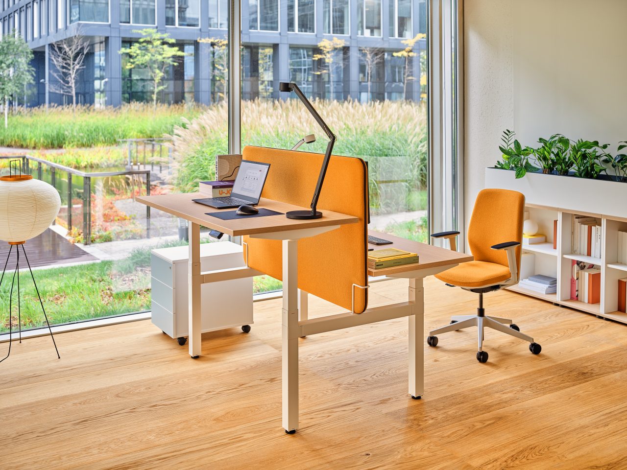 Eleganter Blumentopf auf einem modernen Büroschrank, Modell Standard DN161 von MDD, ideal zur Verschönerung Ihres Arbeitsplatzes.