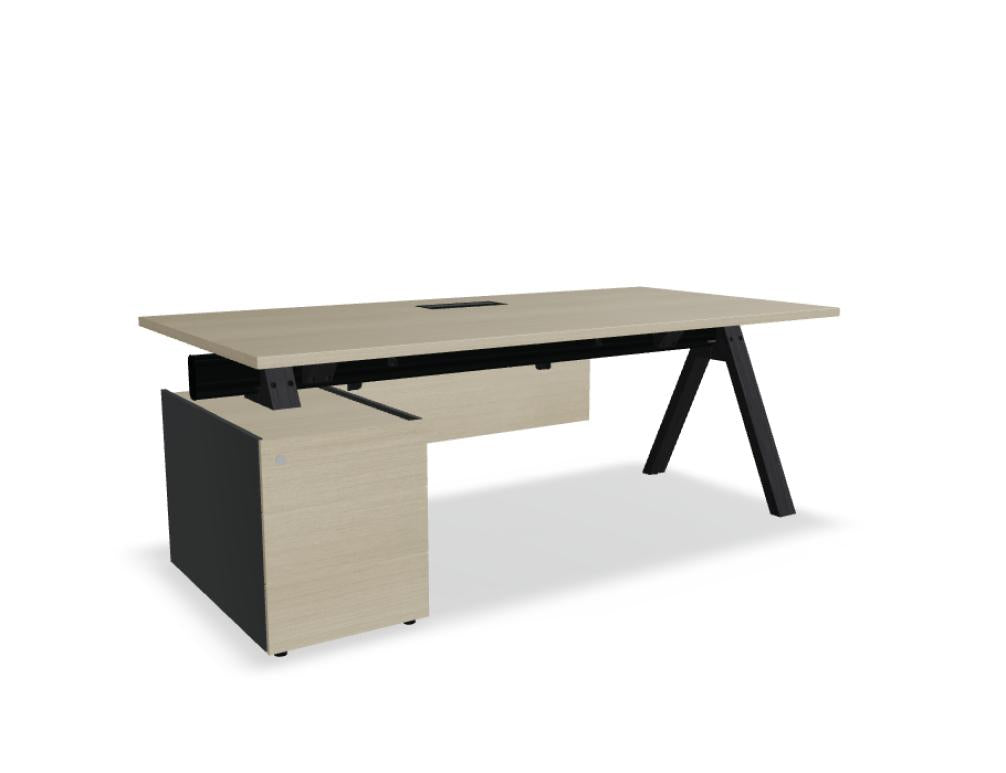 Viga V08LM - Chefschreibtisch mit Container