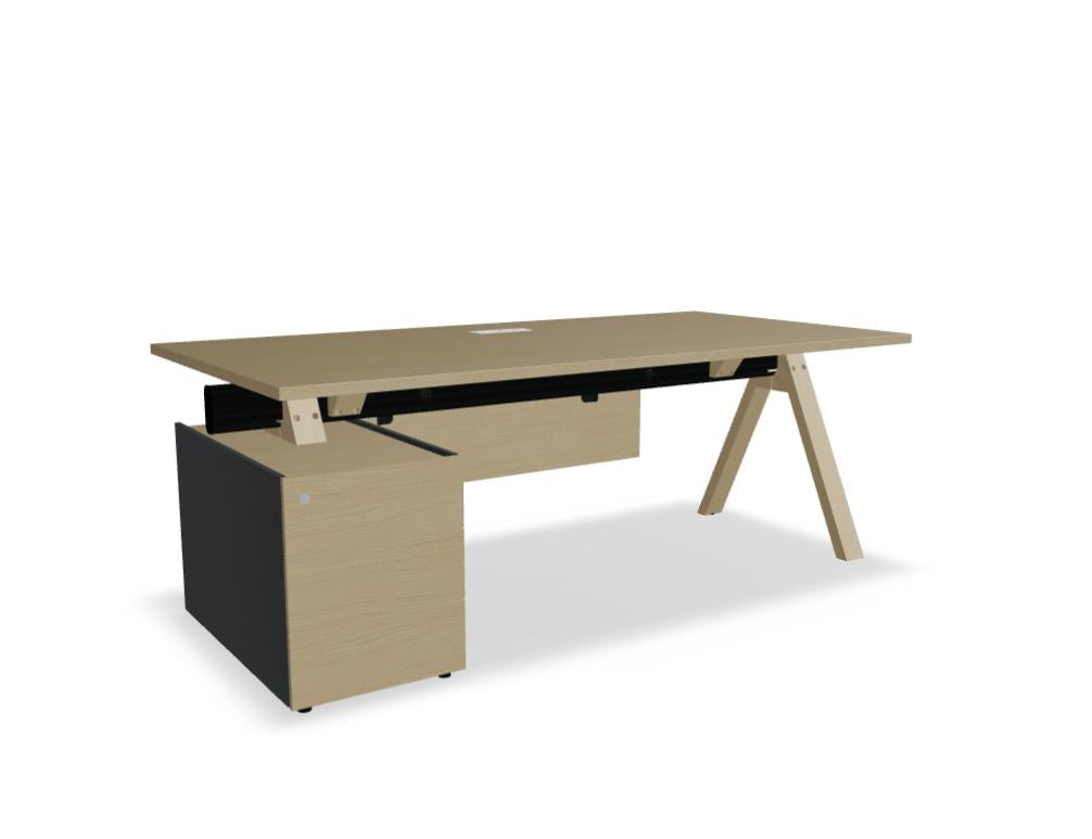 Viga V08L - Chefschreibtisch mit Container