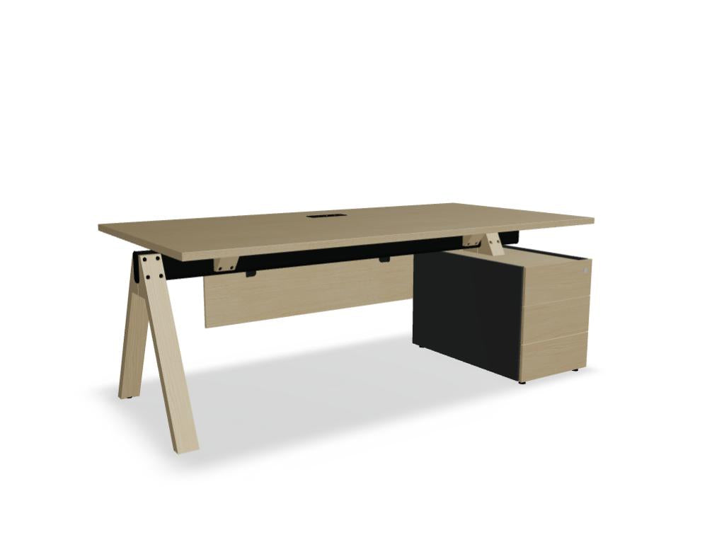 Viga V08P - Chefschreibtisch mit Container