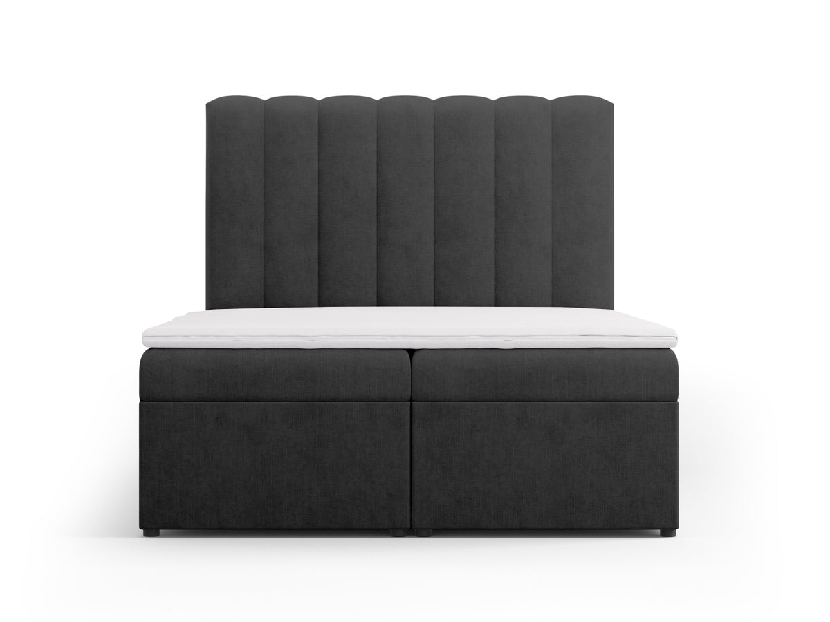 Kelp Boxspringbett Set 140cm: Headboard + Box Springs/Matratze + Matratze Topper in Anthracite-Moly präsentiert im Onlineshop von KAQTU Design AG. Bett ist von Micadoni