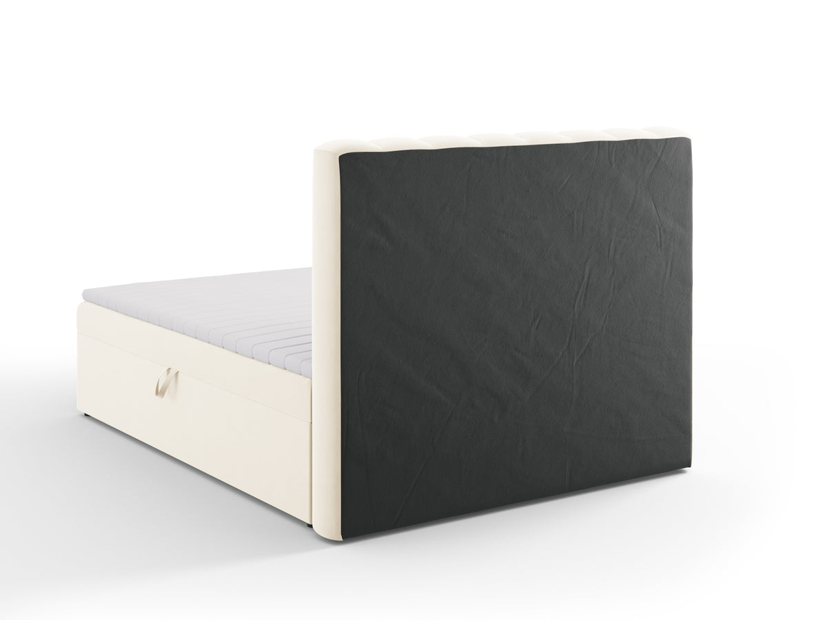 Kelp Boxspringbett Set 160cm: Headboard + Box Springs/Matratze + Matratze Topper in Light Beige-Bluvel präsentiert im Onlineshop von KAQTU Design AG. Bett ist von Micadoni