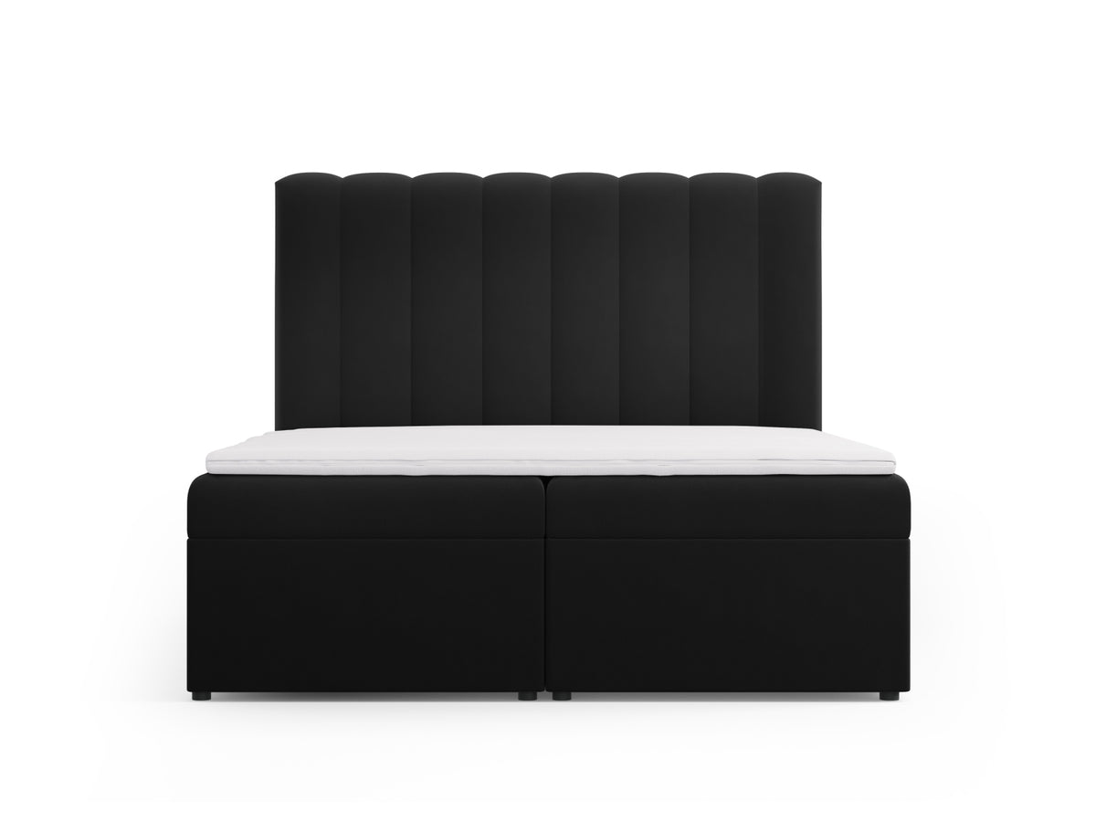 Kelp Boxspringbett Set 160cm: Headboard + Box Springs/Matratze + Matratze Topper in Black-Bluvel präsentiert im Onlineshop von KAQTU Design AG. Bett ist von Micadoni