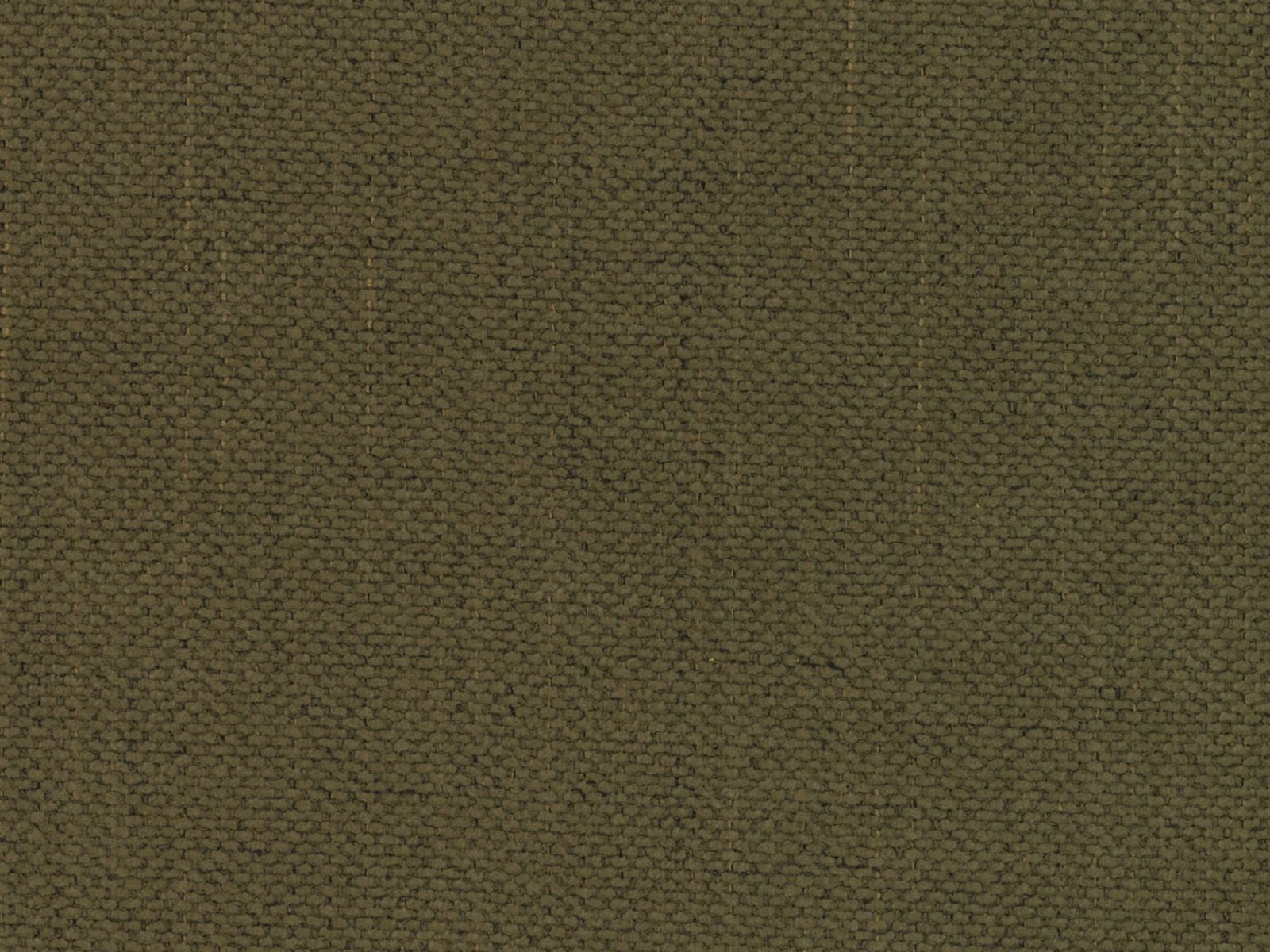 Elegantes Eloise Bett in 160 cm Breite, ausgestattet mit praktischem Stauraum und modernem Kopfteil in stilvollem Green-Moly.