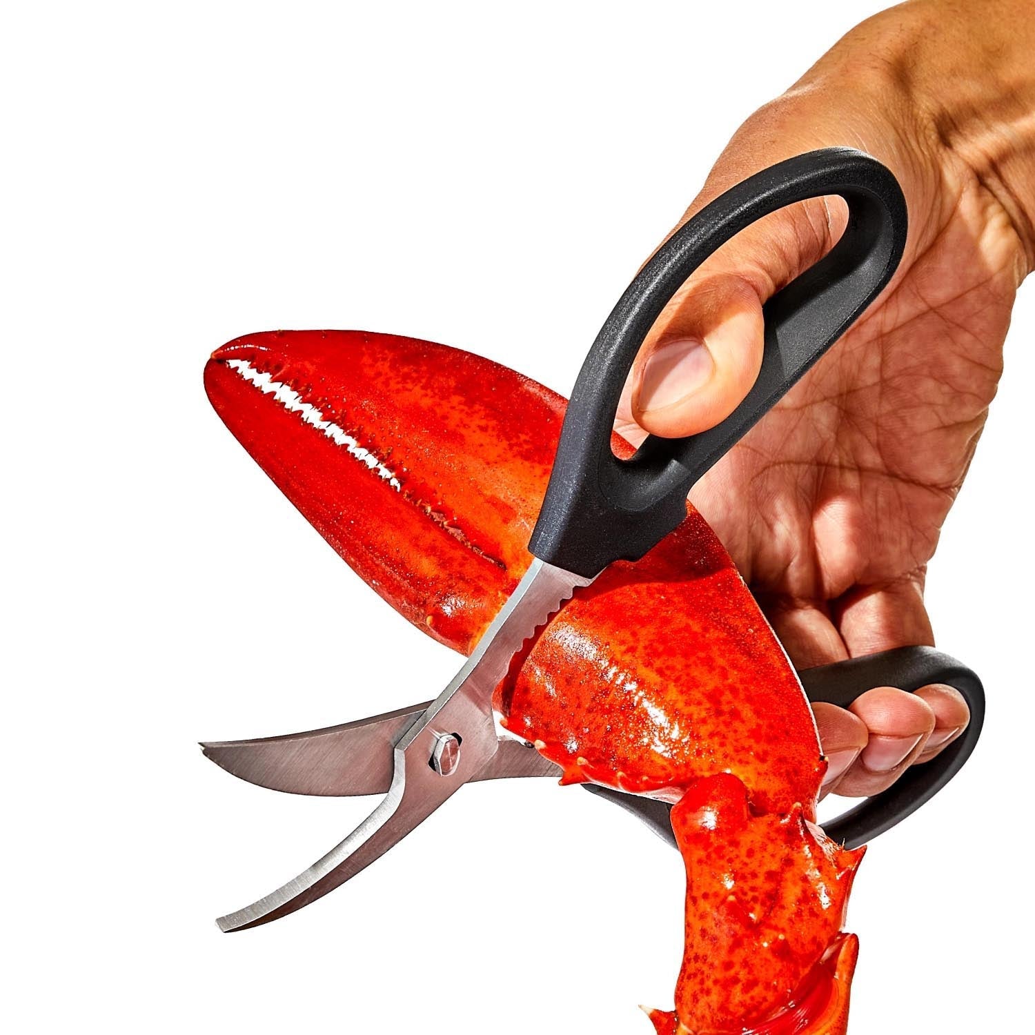Die OXO Good Grips Meeresfrüchte-Schere bietet präzises Schneiden und Komfort, ideal für Hummer, Krabben und Schalentiere.