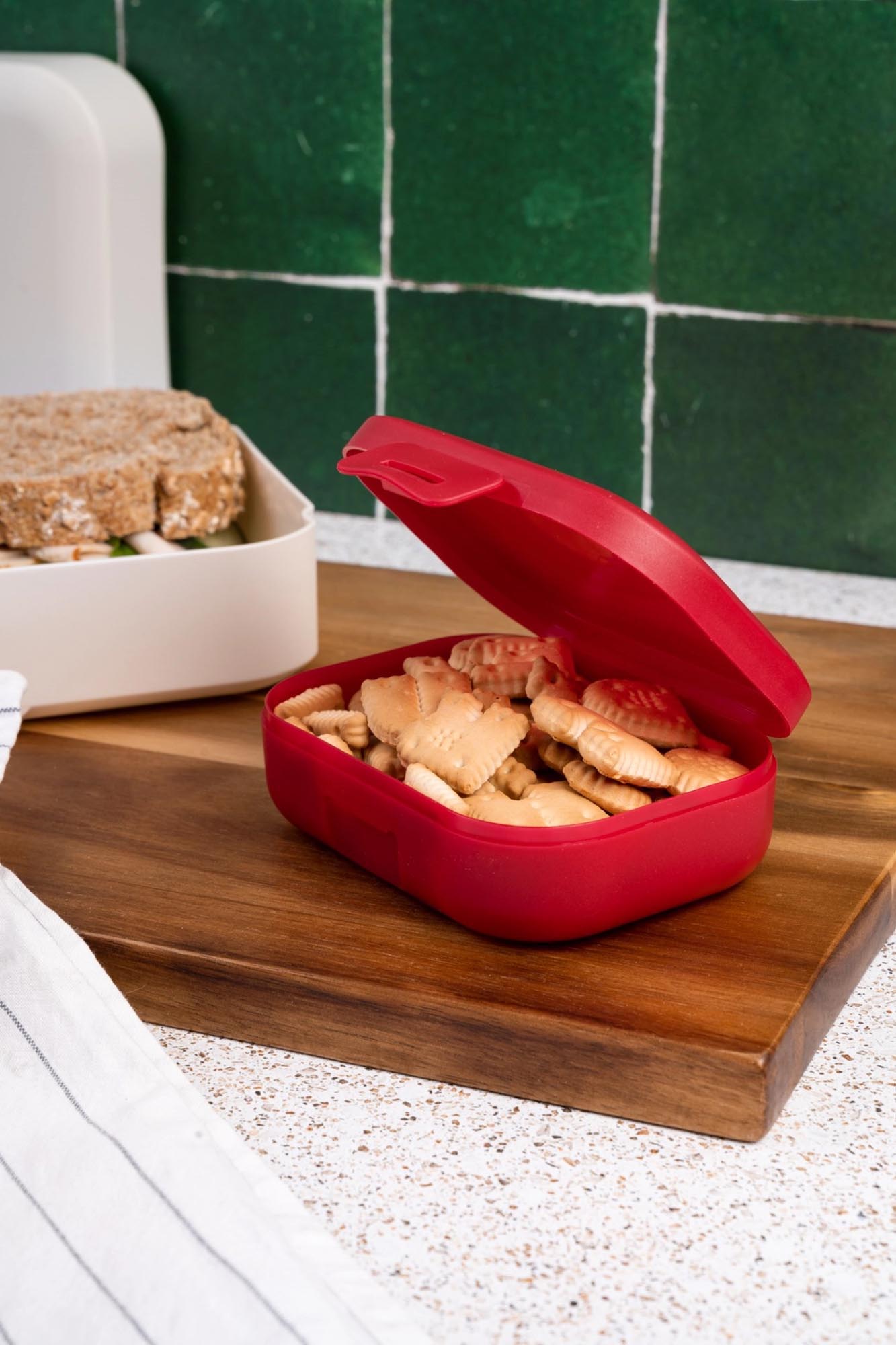 Kleine AMUSE BASIC Snackbox RUBY, perfekt für unterwegs. Robustes Design, kompakt und stilvoll, Maße: 109x80x37 mm.