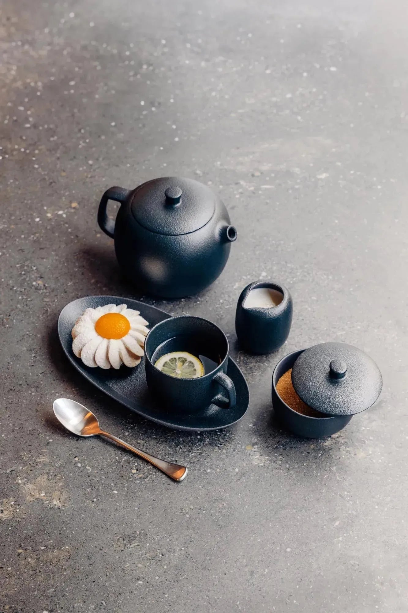 Stilvolle Equinoxe Teetasse mit passender Untertasse, 20cl, in edler Gusseisen-Optik von Revol, perfekt für Teeliebhaber.