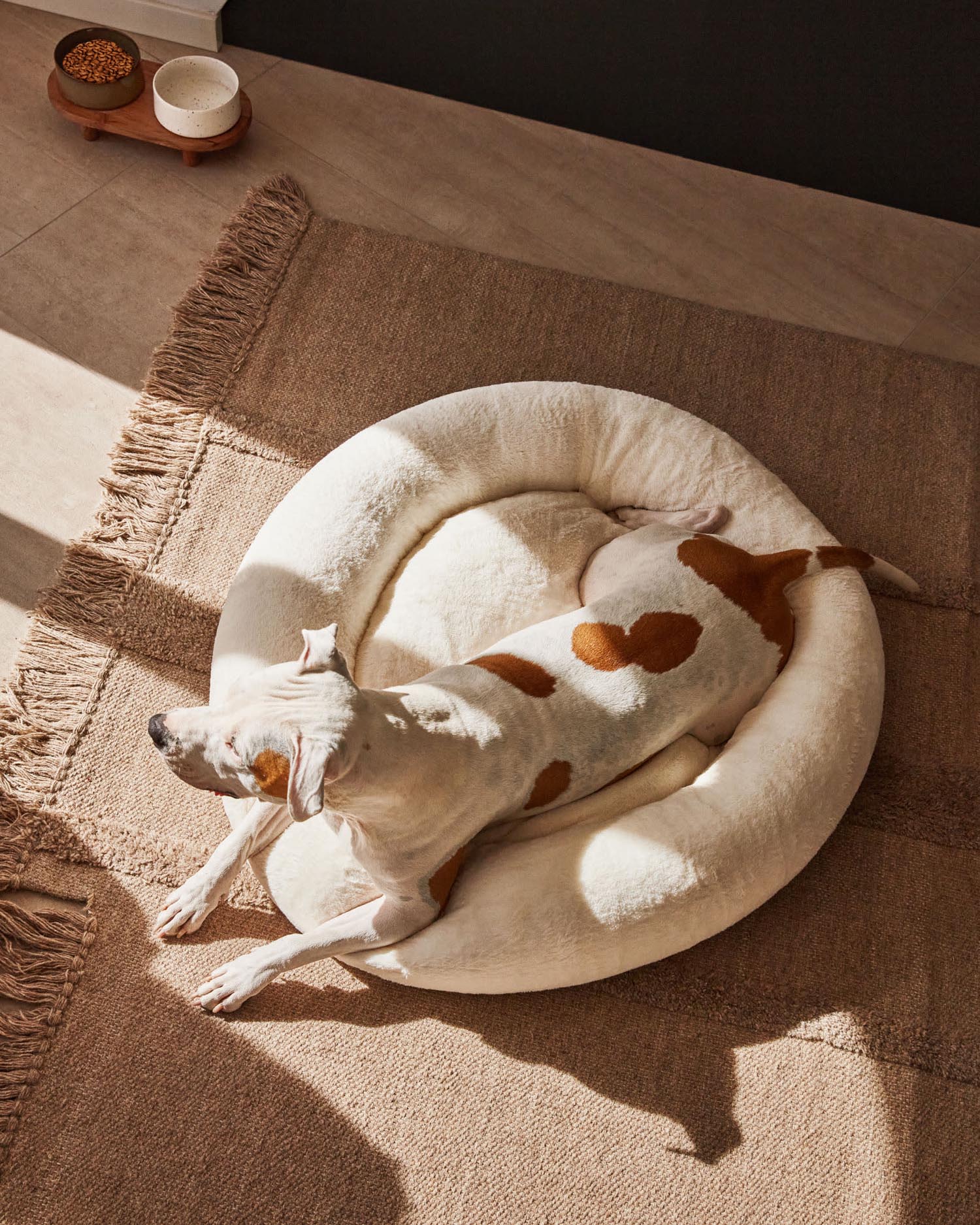 Das Dumbi Set von Kave Home umfasst zwei stilvolle weiße Futternäpfe (Ø 14 cm), ideal für Haustiere, mit funktionalem und ästhetischem Design.