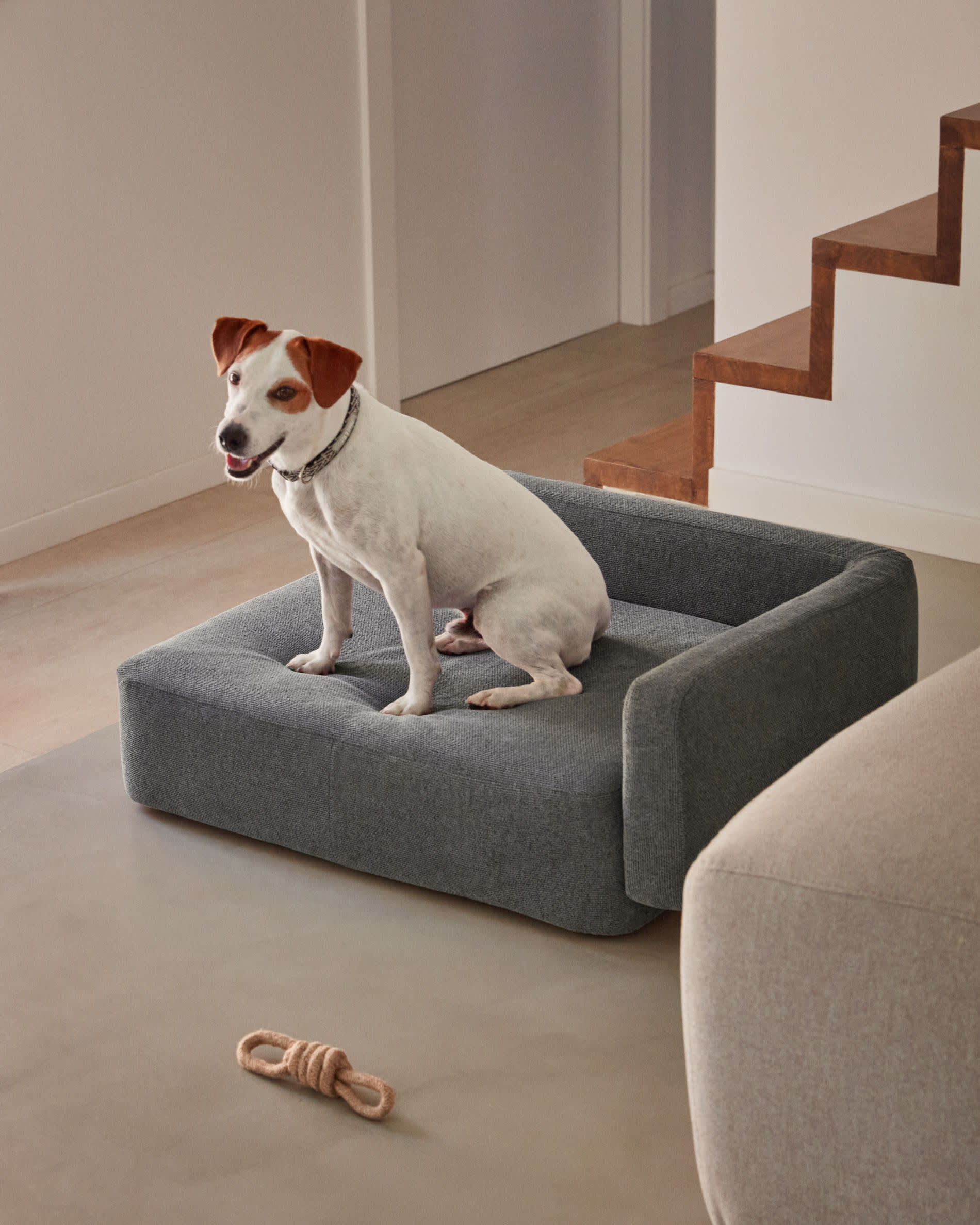 Komfortables Haustierbett Bowie in Dunkelgrau, 63x80 cm, ideal für kleine Haustiere. Stilvolles Design von Kave Home.