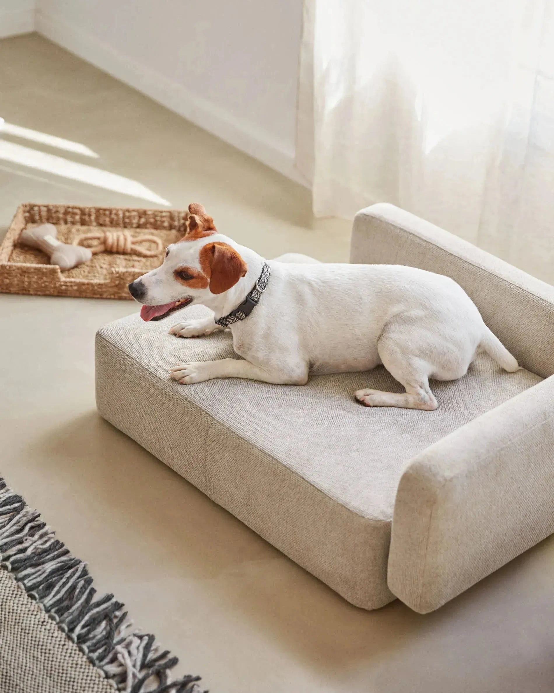 Das Bowie Haustierbett beige (63x80 cm) von Kave Home vereint Komfort und Design, ideal für kleine Haustiere.