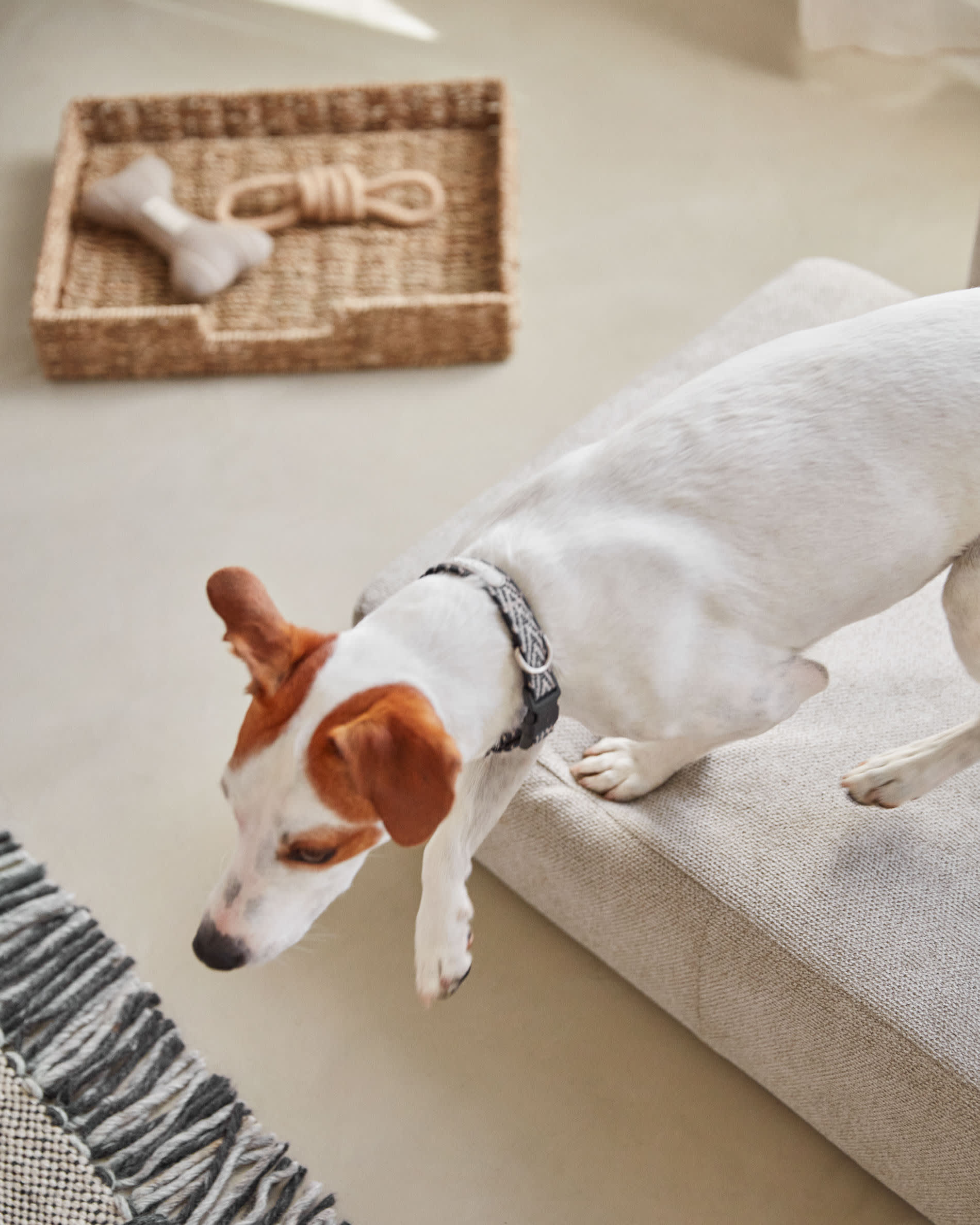 Das Bowie Haustierbett beige (63x80 cm) von Kave Home kombiniert Komfort und modernes Design für kleine Haustiere.