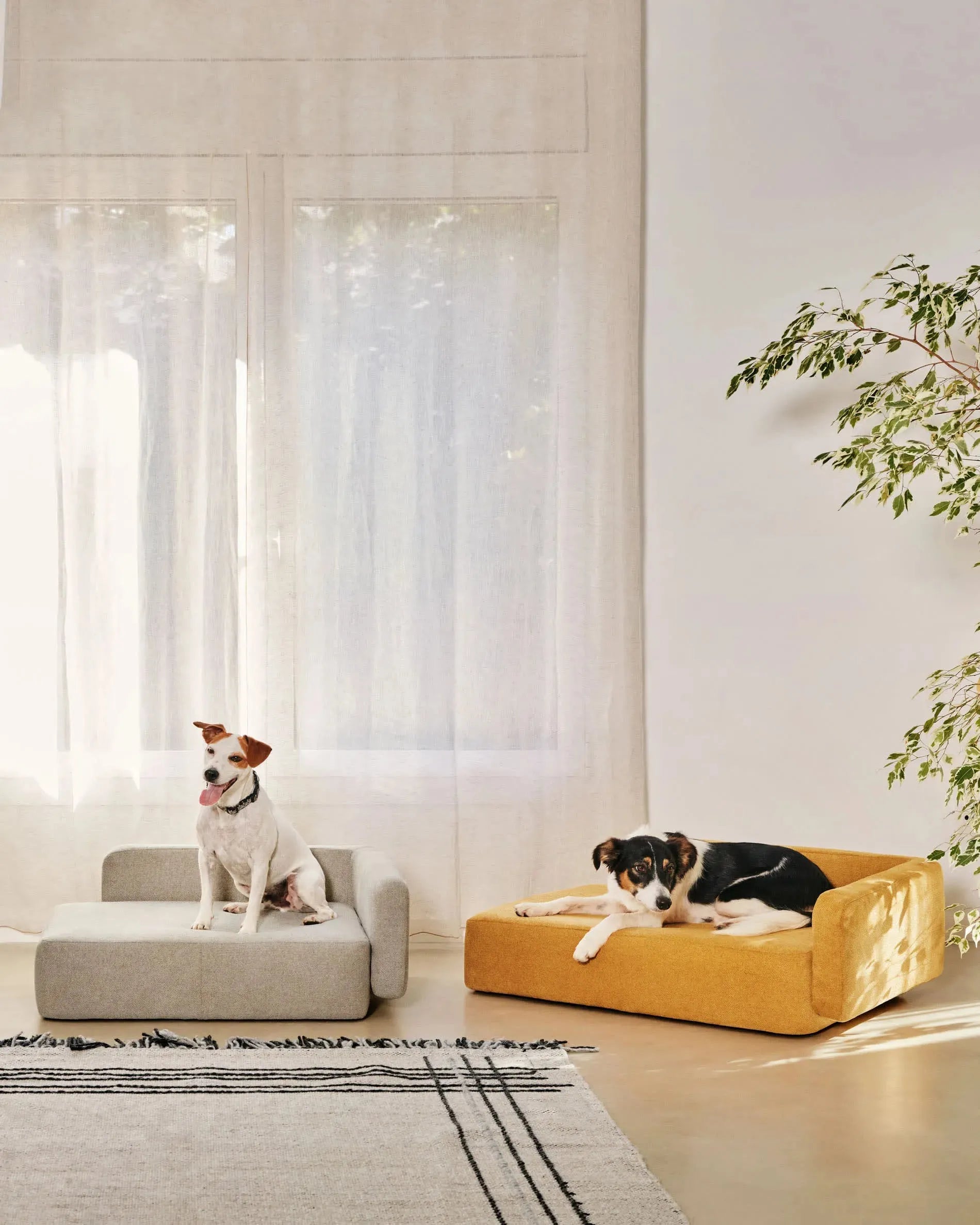 Das Bowie Haustierbett in Beige (63x80 cm) von Kave Home bietet Komfort und Stil für Ihr Haustier. Perfekt für kleine Tiere.