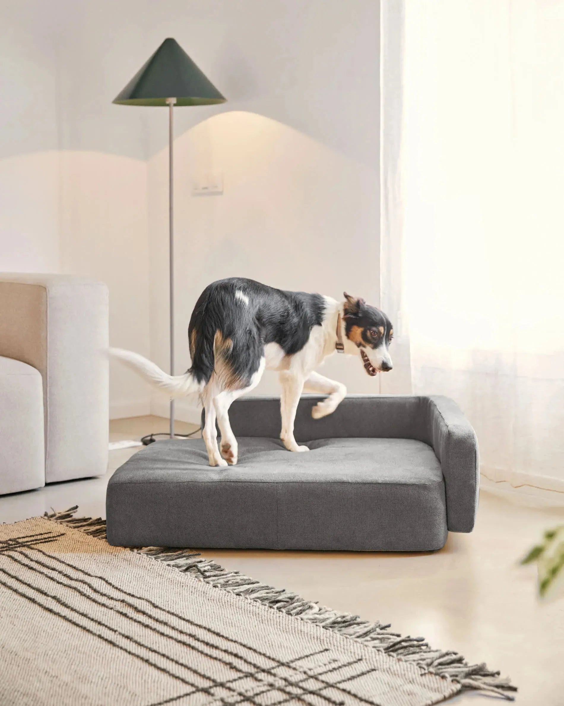 Dunkelgrauer Bezug für großes Haustierbett, 73x98 cm, von Kave Home. Modernes Design, ideal für Komfort und Stil Ihres Haustiers.