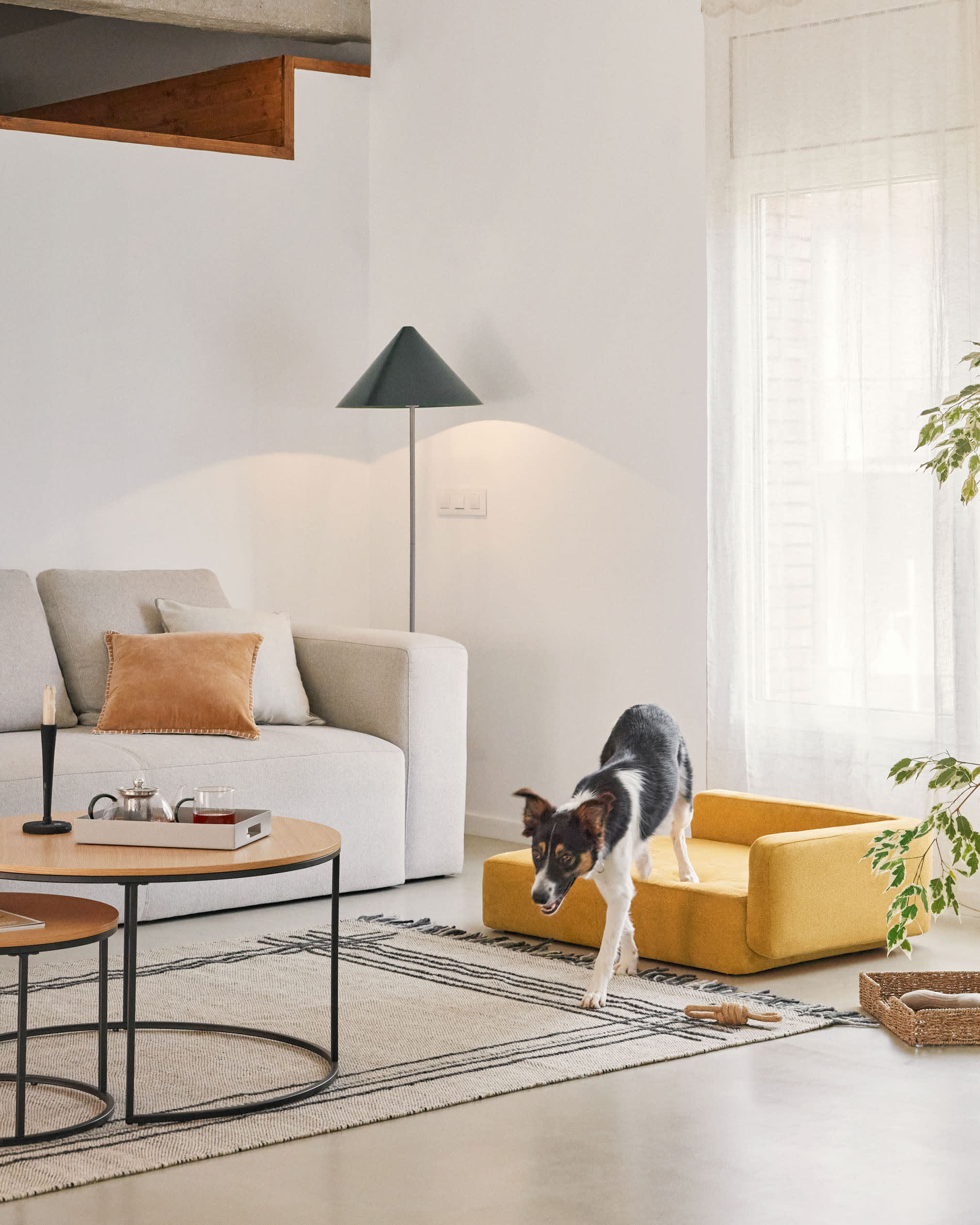 Hochwertiger senfgelber Haustierbettbezug Bowie 73x98 cm von Kave Home, ideal für große Haustiere, stilvoll und komfortabel.