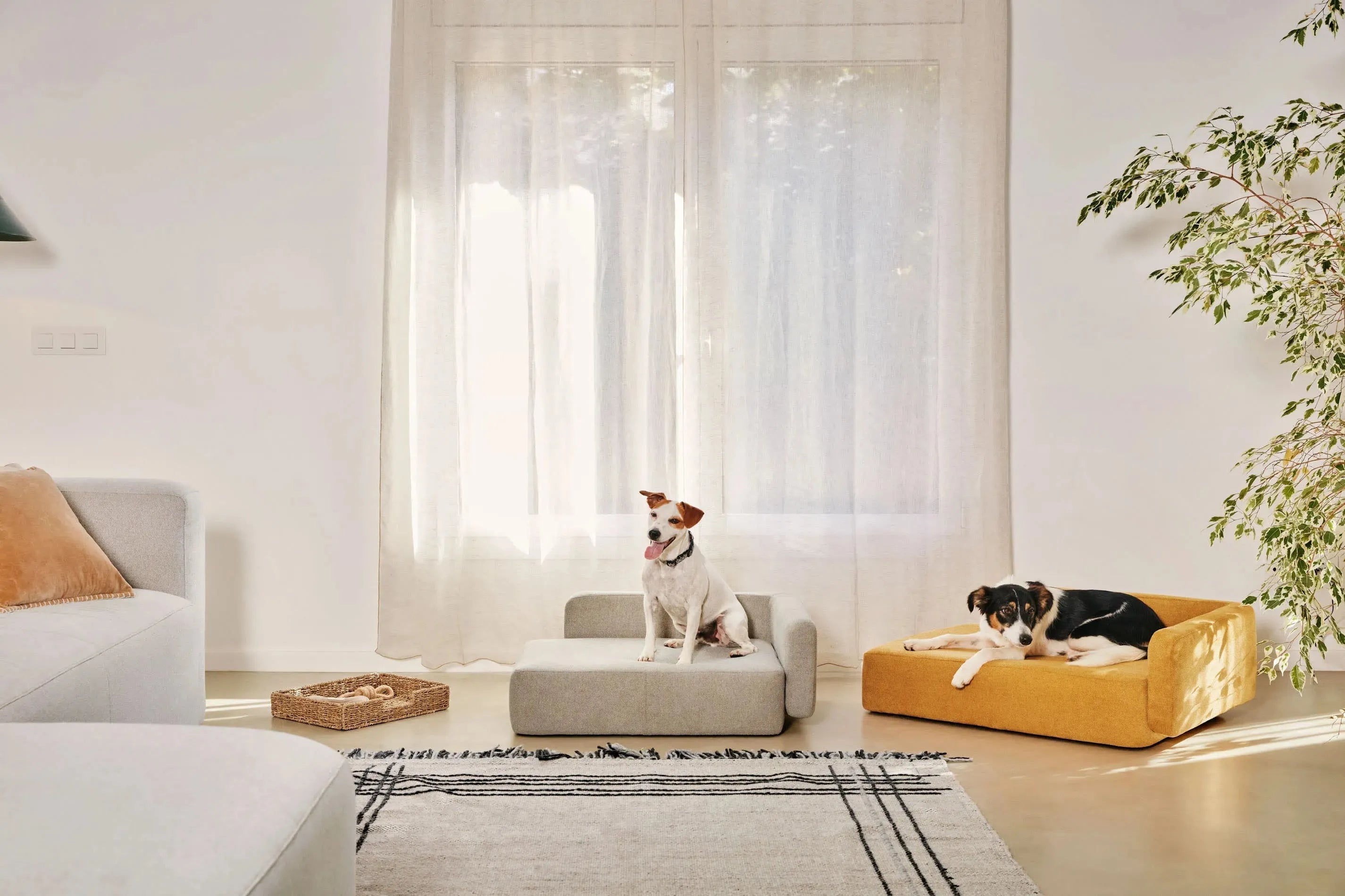 Beiger Haustierbettbezug Bowie 63x80 cm von Kave Home, perfekt für kleine Haustiere, kombiniert Komfort und modernes Design.