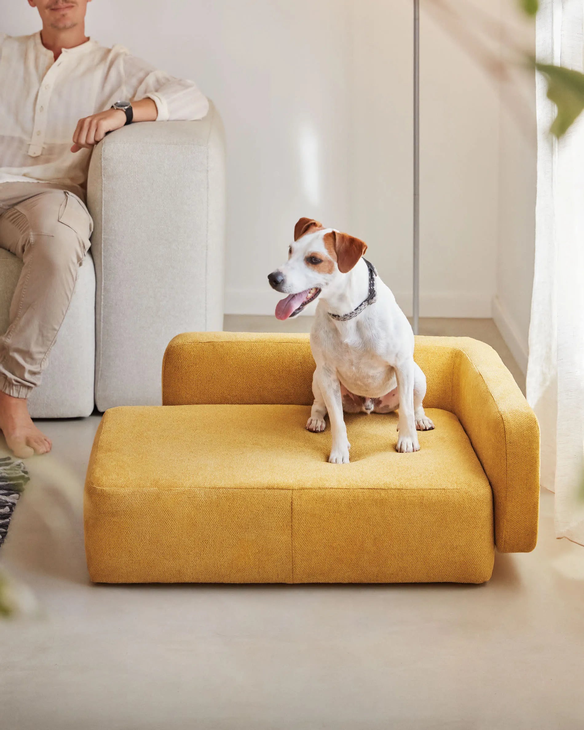 Senfgelber Bowie Haustierbett-Bezug 63x80 cm von Kave Home. Stilvoll, bequem und perfekt für kleine Haustiere.