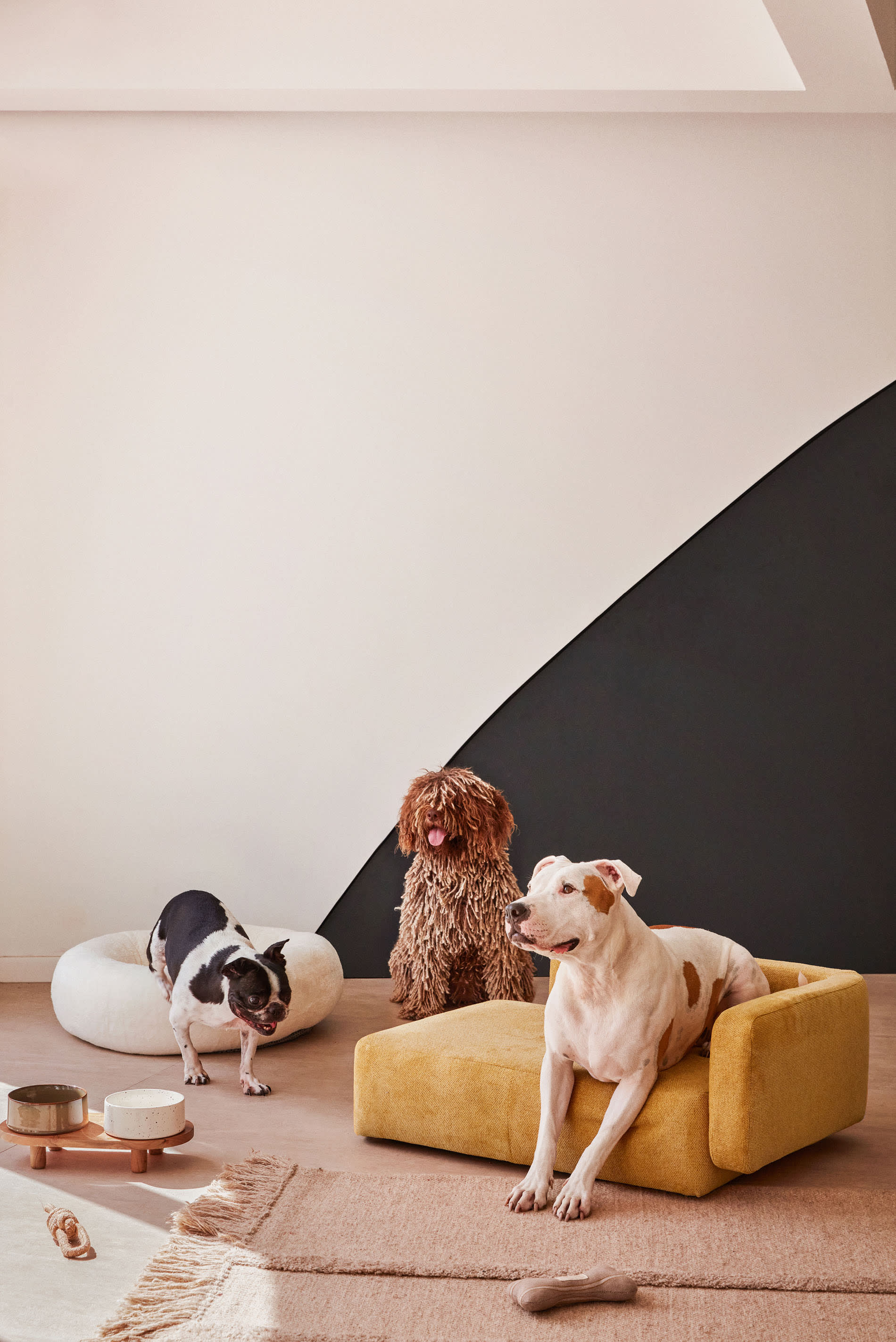 Bowie Haustierbett-Bezug in Senfgelb, 63x80 cm, von Kave Home. Modernes Design, ideal für kleine Haustiere, stilvoll und komfortabel.