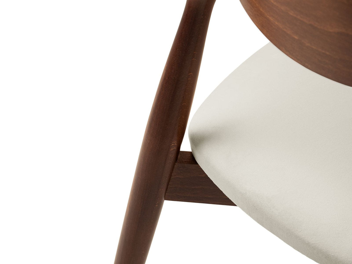Zwei Leon Stühle mit Samtbezug in Almond Beige, Buchenholz-Beinen und gepolsterter Rückenlehne, Frontalansicht auf hellem Hintergrund.