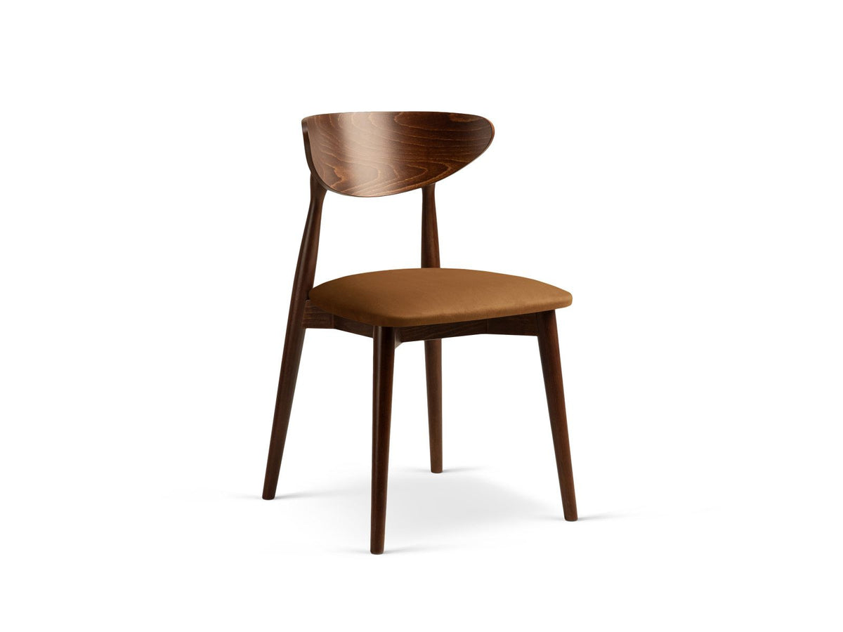 Zwei Leon Stühle mit Samtbezug in Almond Beige, Buchenholz-Beinen und gepolsterter Rückenlehne, Frontalansicht auf hellem Hintergrund.