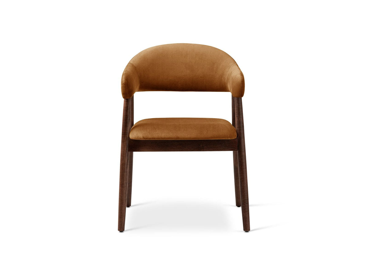 Zwei Samtstühle Adra von Cosmopolitan Design mit Buchenholzbeinen, gepolsterter Sitzfläche und Rückenlehne in Veloursstrick-Optik.