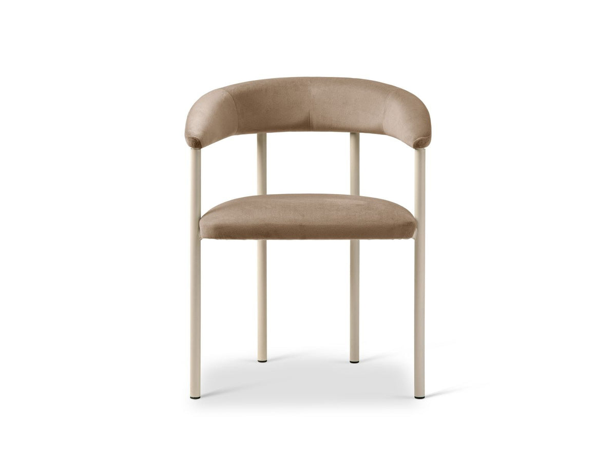 Zwei Lea Samt-Stühle von Cosmopolitan Design mit Buchenholzgestell, Stahlbeinen und Samtbezug in Ivory-Magic Velvet auf hellem Untergrund.