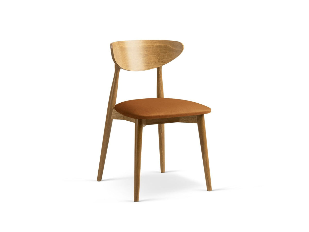 Zwei Leon Stühle mit Samtbezug in Almond Beige, Buchenholz-Beinen und gepolsterter Rückenlehne, Frontalansicht auf hellem Hintergrund.