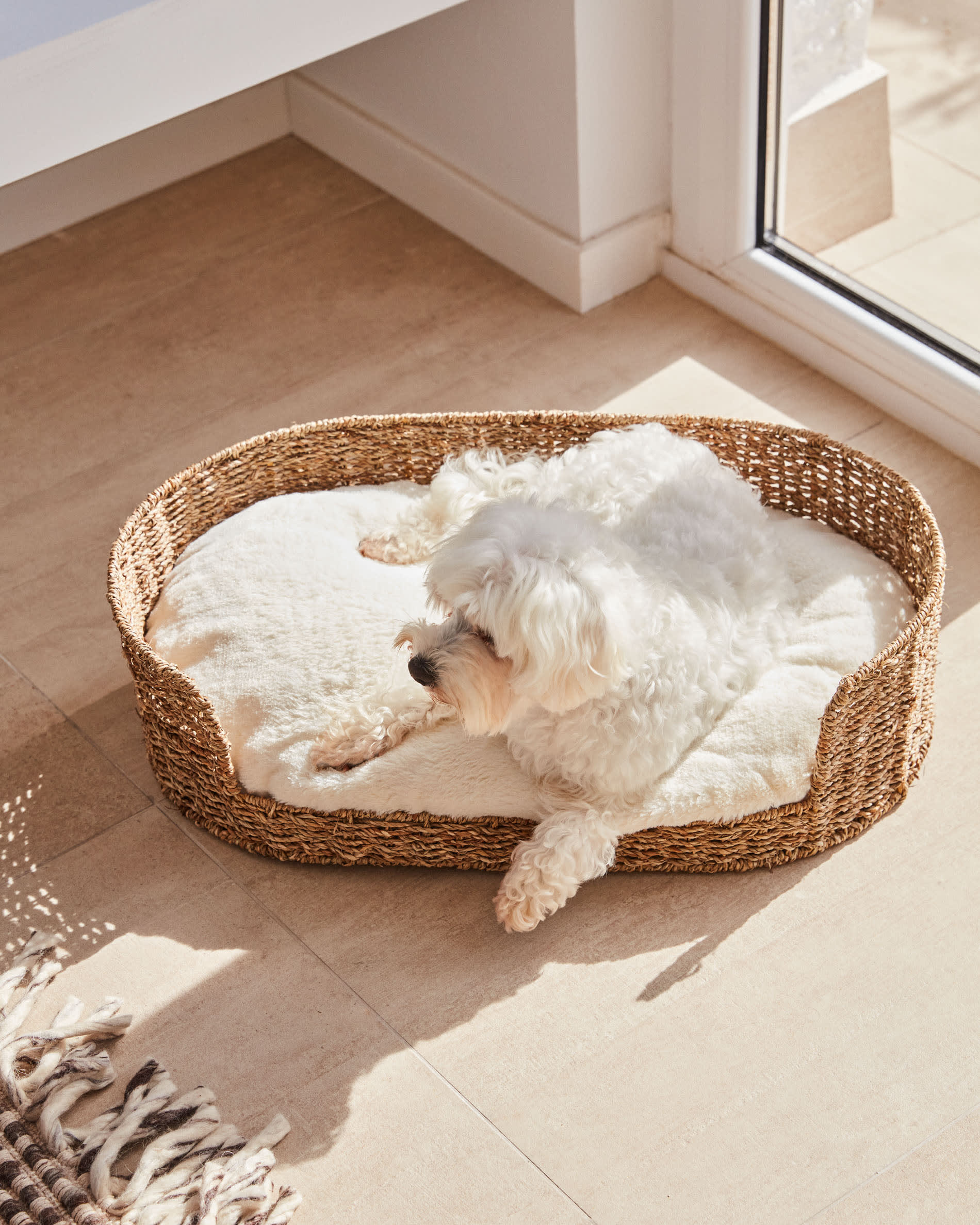 Fliicker Haustierbett Ø 60x35 cm aus Naturfasern, ideal für kleine Haustiere, vereint Komfort und modernes Design für Ihr Zuhause.