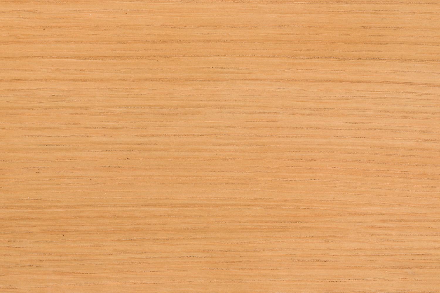 Stuhl Northwood in Natur präsentiert im Onlineshop von KAQTU Design AG. Stuhl ist von Zuiver