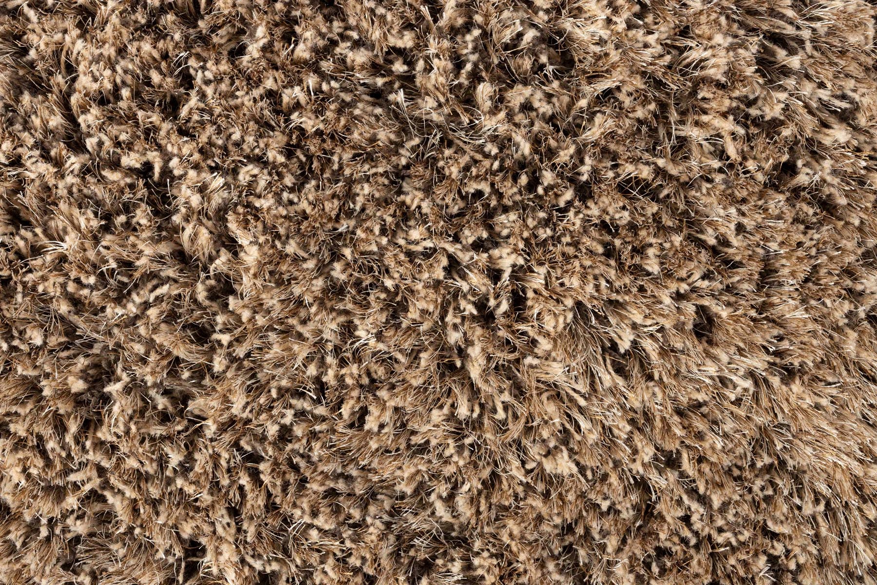 Teppich Tasty 200x290 in Braun präsentiert im Onlineshop von KAQTU Design AG. Teppich ist von Zuiver