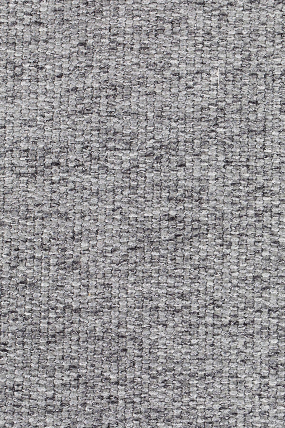 Stuhl Albert Kuip gepolstert in Hellgrau präsentiert im Onlineshop von KAQTU Design AG. Stuhl ist von Zuiver